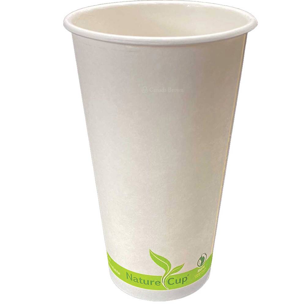 20oz PLA Lined Single Wall Paper Cup