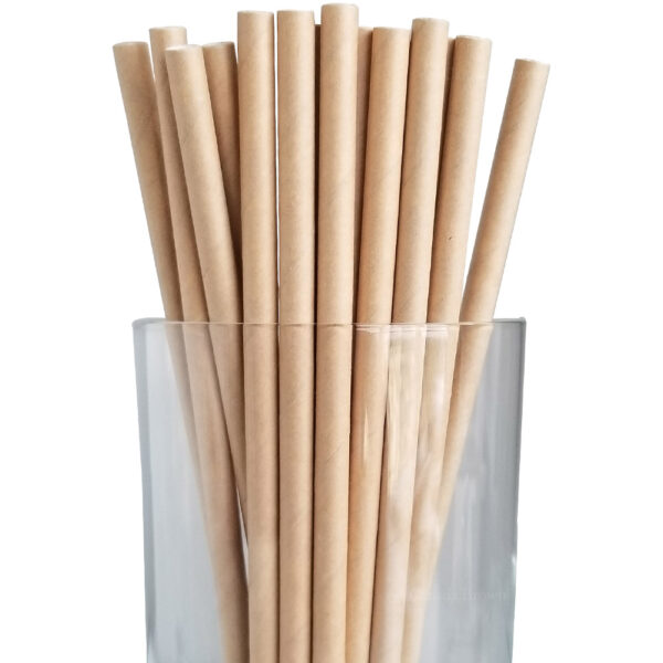 7.75” Jumbo Regular Kraft Paper Straws