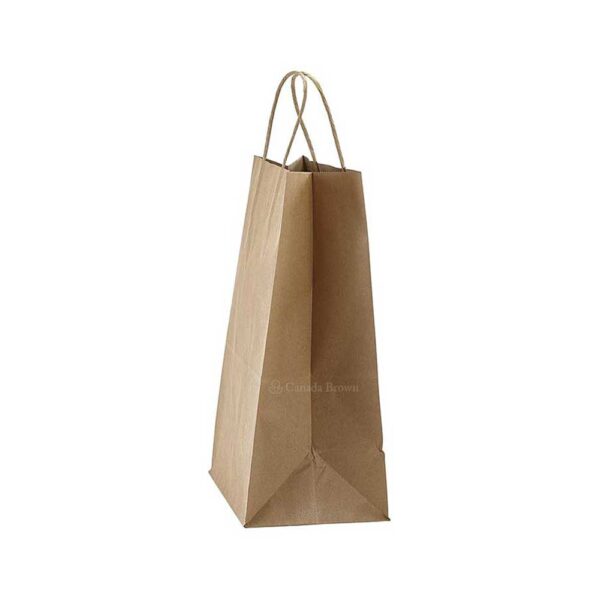 13 x 6 x 15 Kraft Twisted Handle Paper Bags 250/Case
