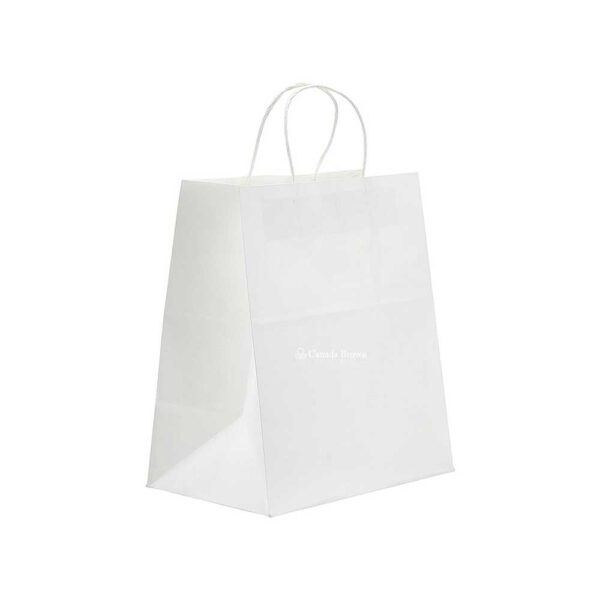 10 x 10 x 10 White Twisted Handle Paper Bags 250/Case