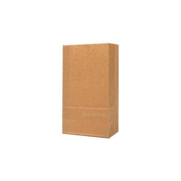 5LB Grocery 5.25 x 3.125 x 9.75 Kraft SOS Paper Bags 500/Case