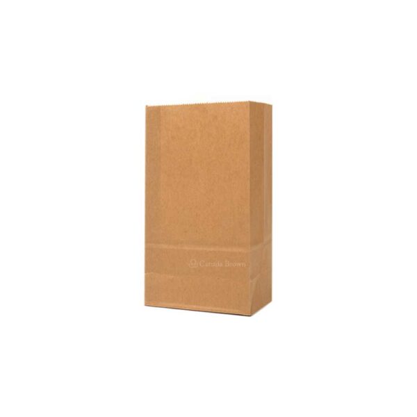 4LB Grocery 5 x 3.125 x 9.75 Kraft SOS Paper Bags 500/Case