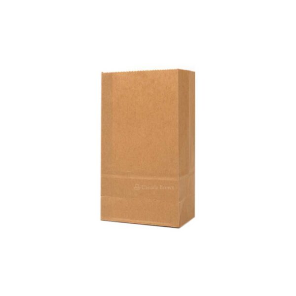 6LB Grocery 6 x 3.625 x 11 Kraft SOS Paper Bags 500/Case