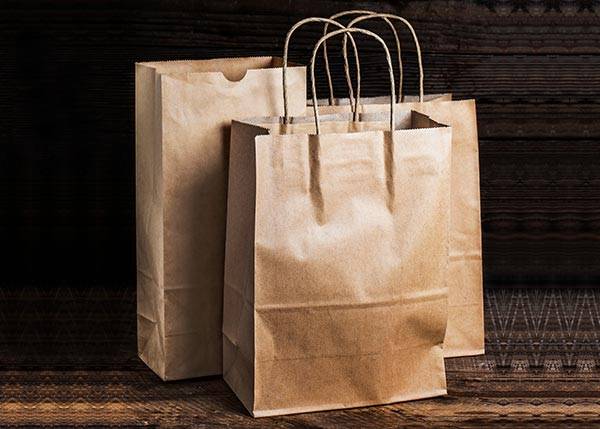Paper Bag with Handles
