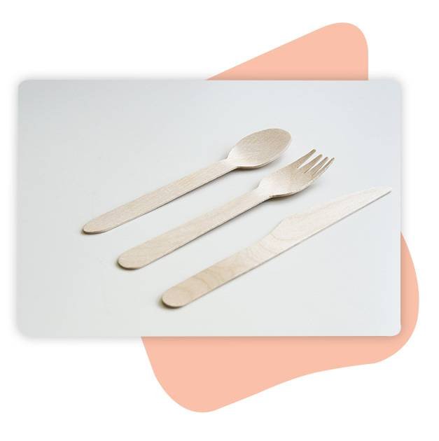 Why Eco Friendly Cutlery?