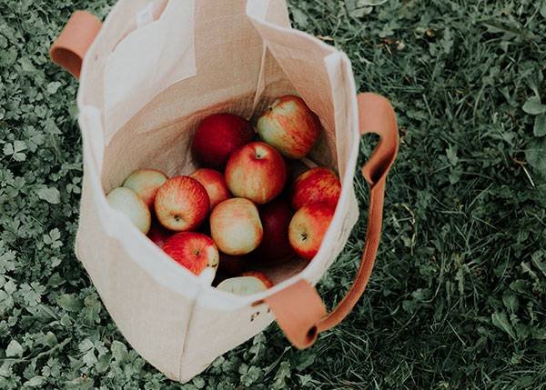 Reusable Grocery Bags