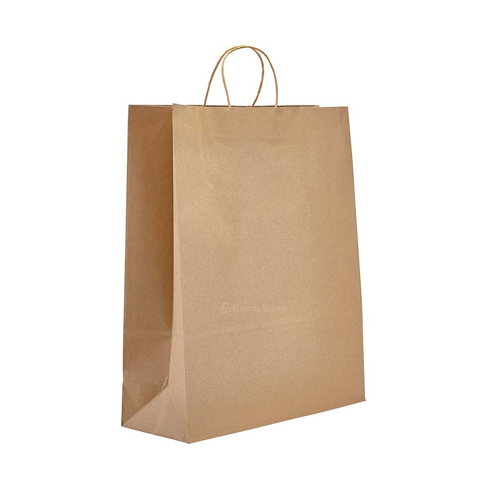 16" x 6" x 19" Kraft Twisted Handle Paper Bags 200/Case