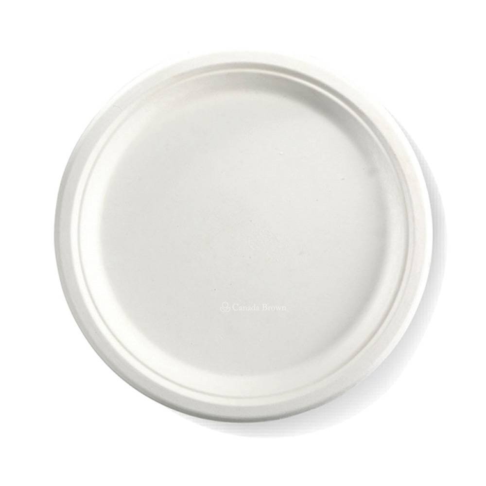 10" Sugarcane Fibre Plate ( White ) (100% Compostable & Recyclable) (500/Case)