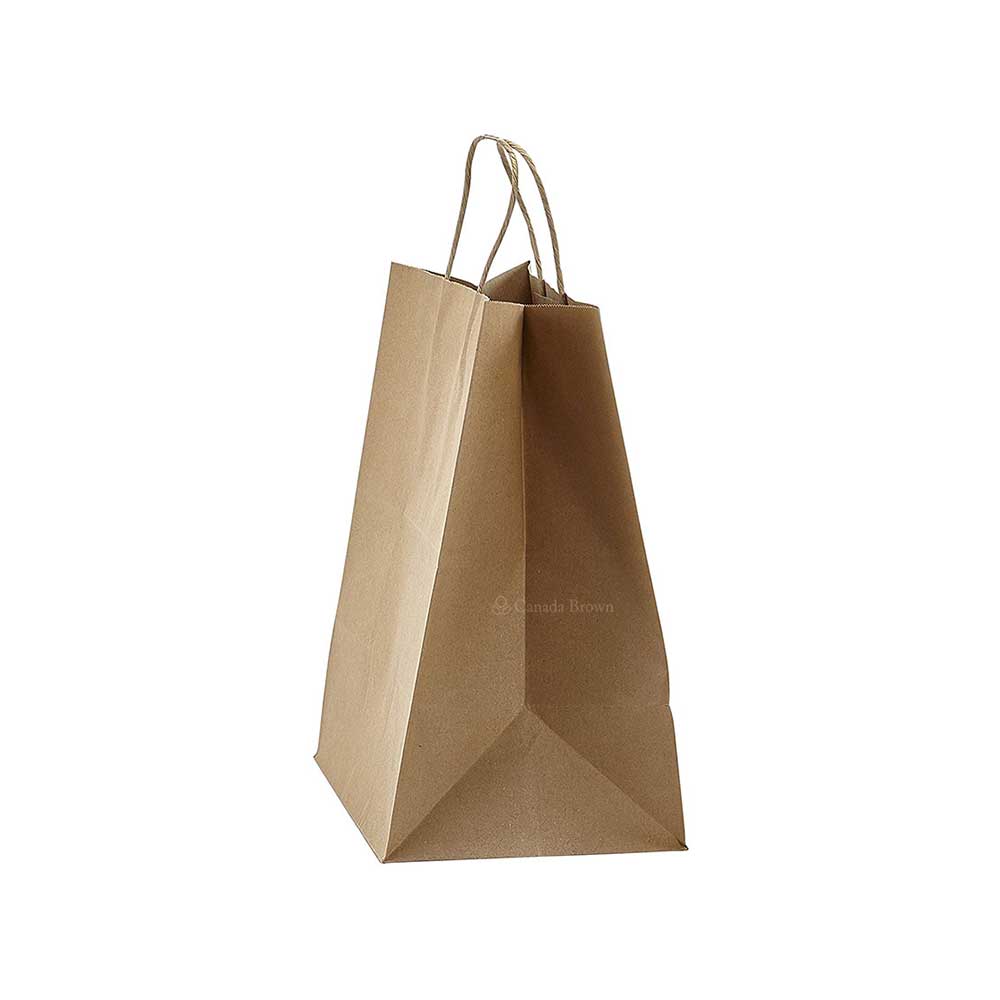 10" x 6.75" x 12" Kraft Twisted Handle Paper Bags 250/Case