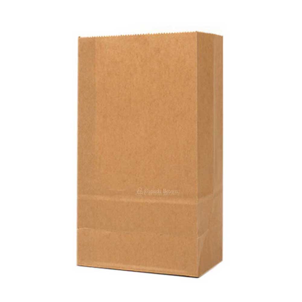 1/8 Brown Paper Bags DD50 9.75" x 6" x 16.5" 500/case