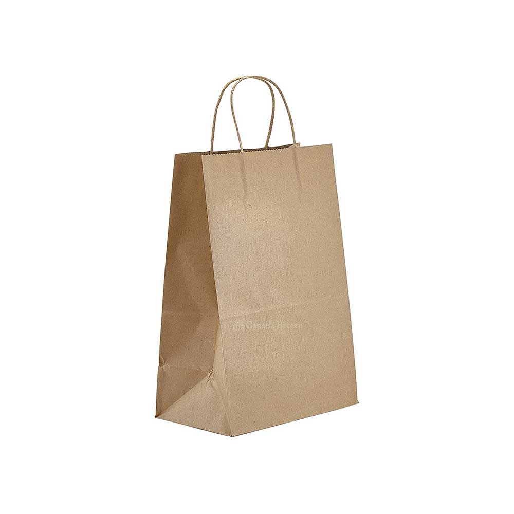 9" x 5.75" x 13.5" Kraft Twisted Handle Paper Bags 250/Case