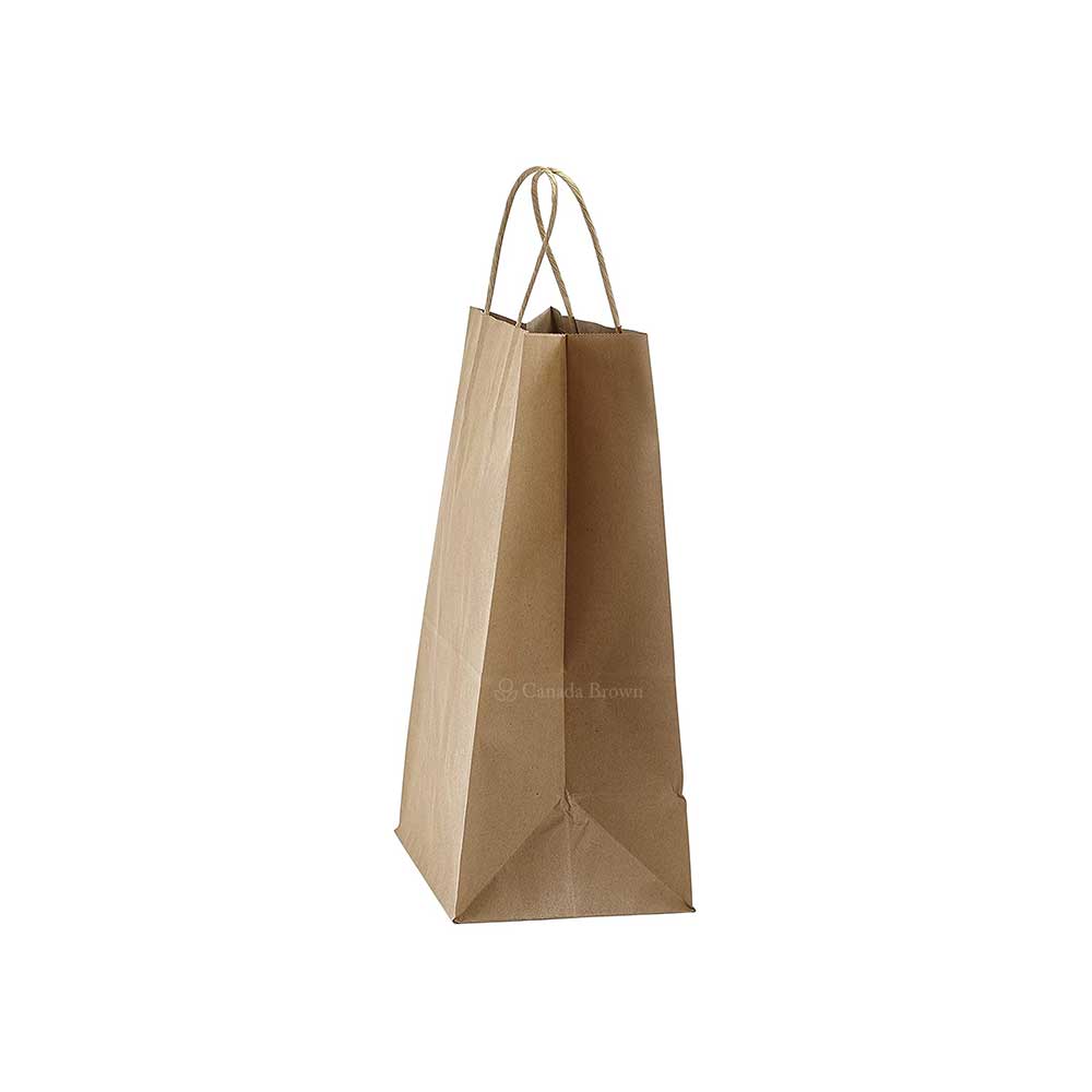 9" x 5.75" x 13.5" Kraft Twisted Handle Paper Bags 250/Case