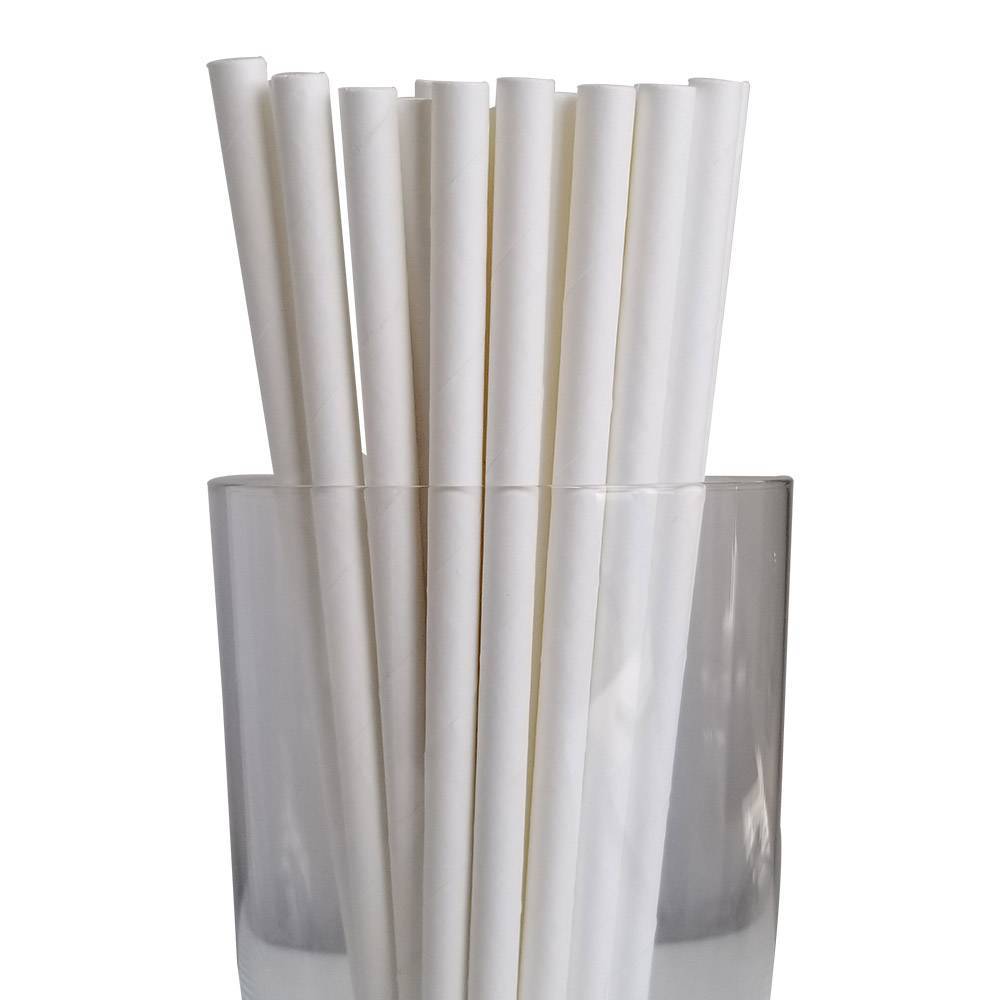 10.23” Length 6mm Diameter Regular White Paper Straws (3000/CS)
