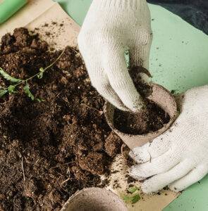 Compostability Compostability