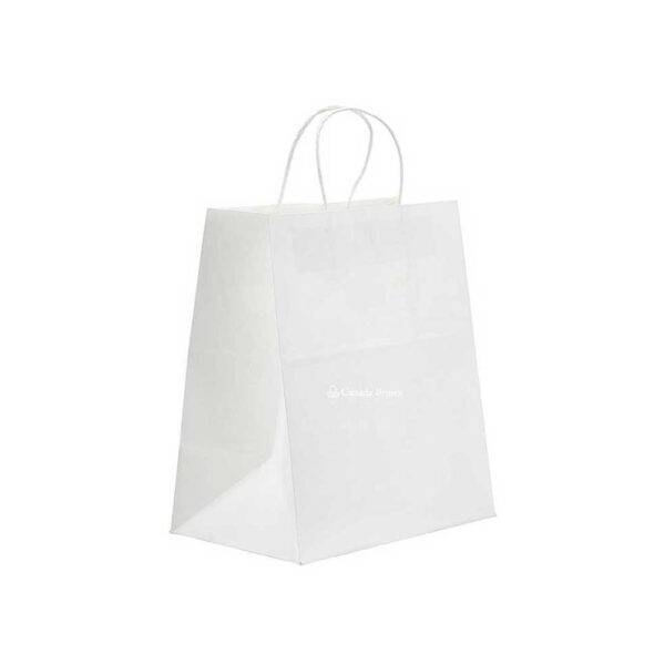 10" X 5" X 13" White Twisted Handle Paper Bags (250/CS)