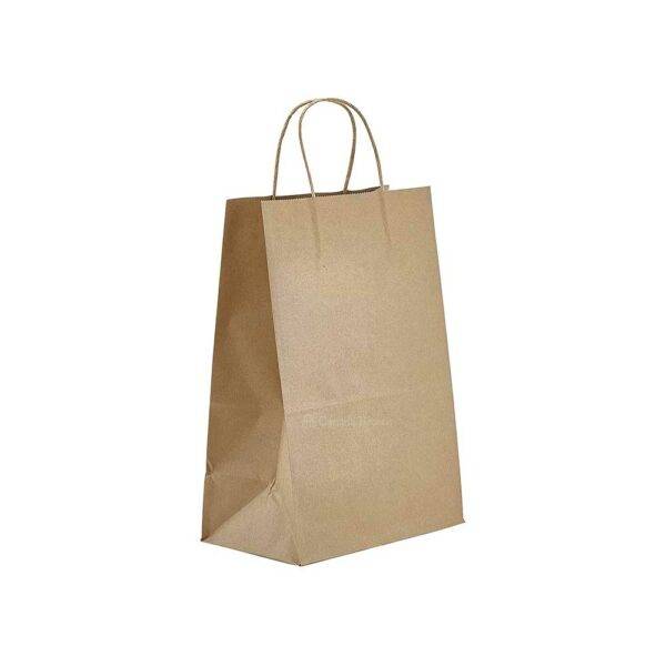 9" X 6" X 13" Twisted Handle Paper Bags  (250/CS)