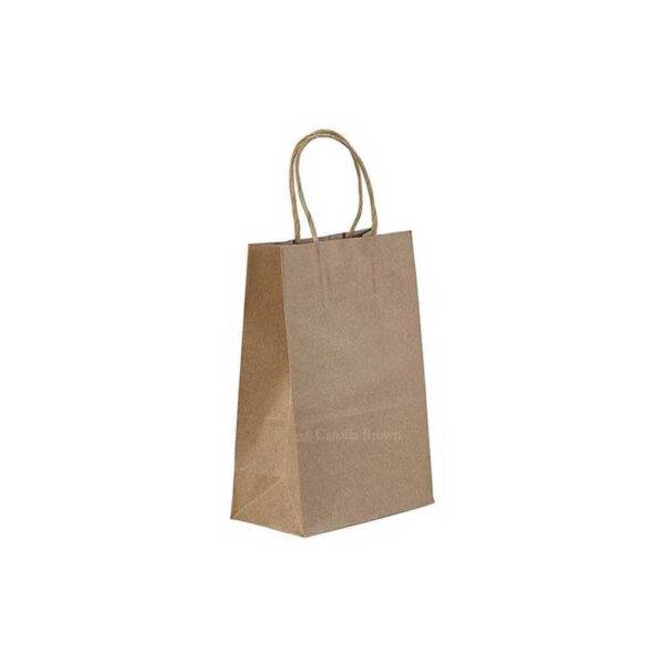 6" x 3.5" x 9" Kraft Twisted Handle Paper Bags (250/CS)