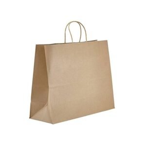 16" x 6" x 12" Kraft Twisted Handle Paper Bags 250/Case