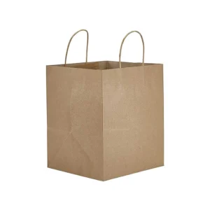 10" x 5" x 10" Kraft Twisted Handle Paper Bags 250/Case